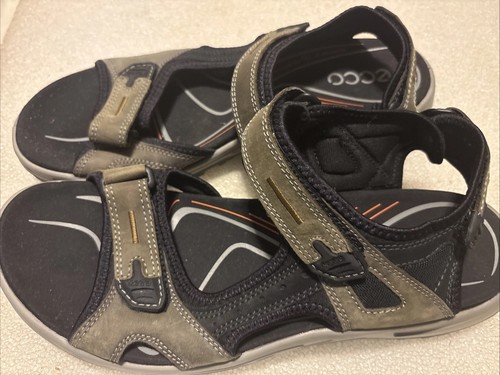 Ecco yucatan receptor - ecco,