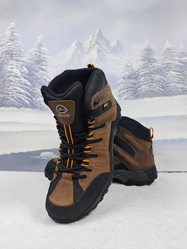 Ecco receptor gore tex - ✨,
