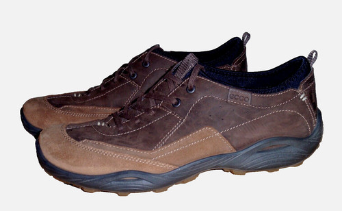 Ecco receptor epr4 walking - receptor, 4.0